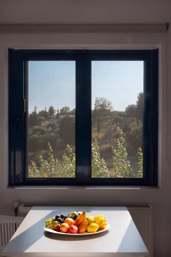 Villa Rodanthi Sivota 外观 照片